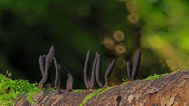 데치기 전, 이렇게 준비해요!