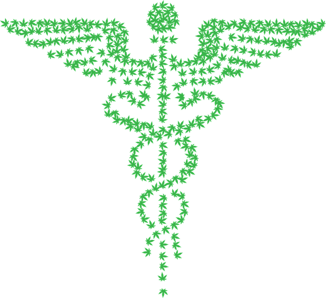 공진단, 어떤 재료로 만들어질까요?