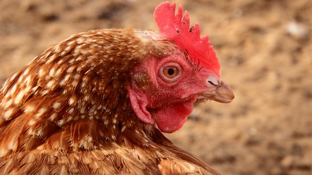 구월동 이름에 숨겨진 이야기