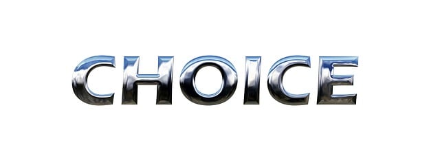 '싸움'의 종류도 더 많아졌다고요? 📢