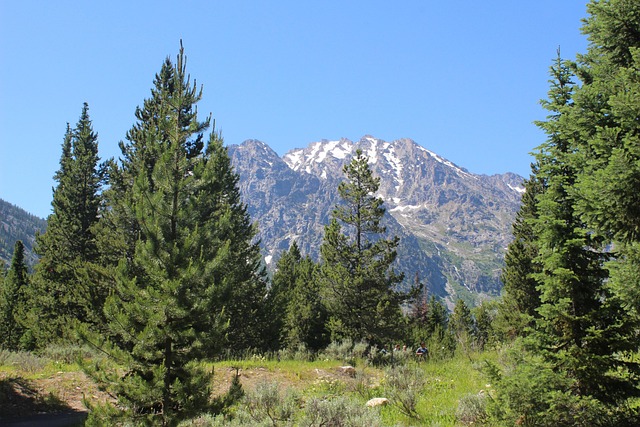 몽벨 선글라스, 제니가 사랑한 이유 ✨