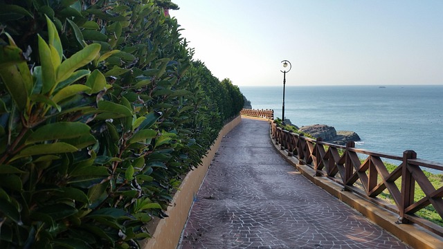 프로그램 개요 및 기본 정보