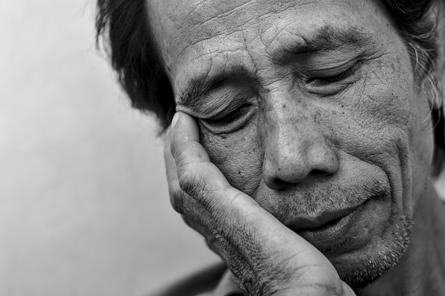 놀라운 흑하랑상추 씨앗의 숙면 및 건강 효능