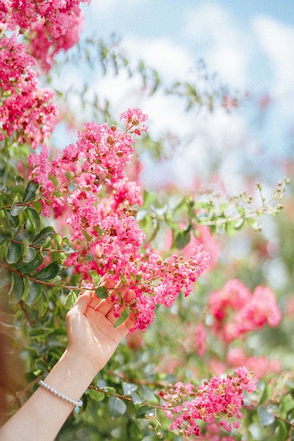 언제 어디서 열릴까요? 개막식부터 행사 일정까지 🗓️