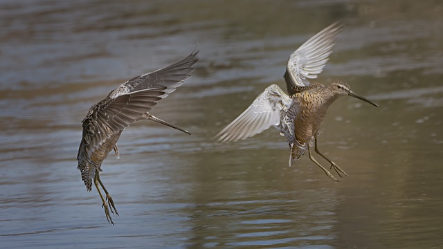 2025년, 무엇이 달라지고 확대되나요?