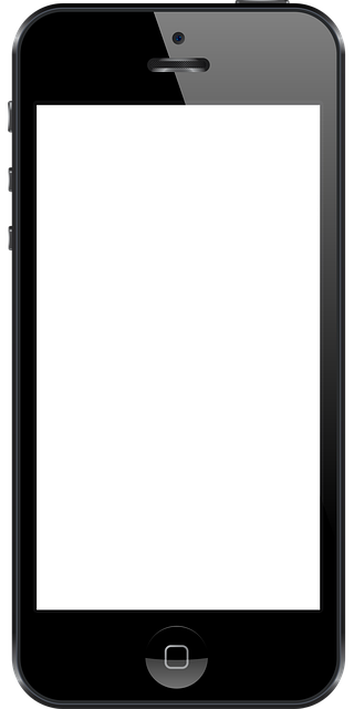 포인트로 내고 간편결제도 활용하는 꿀팁 📲