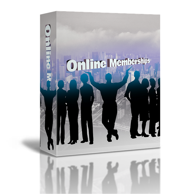 예매부터 관람까지, 이렇게 해보세요!