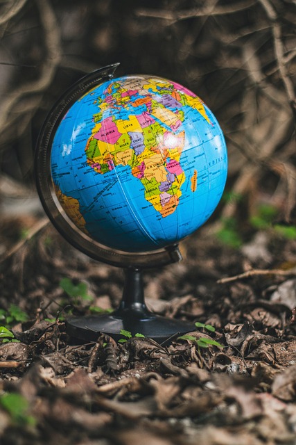 주요 창고형 약국 위치와 특징 알아보기 📍