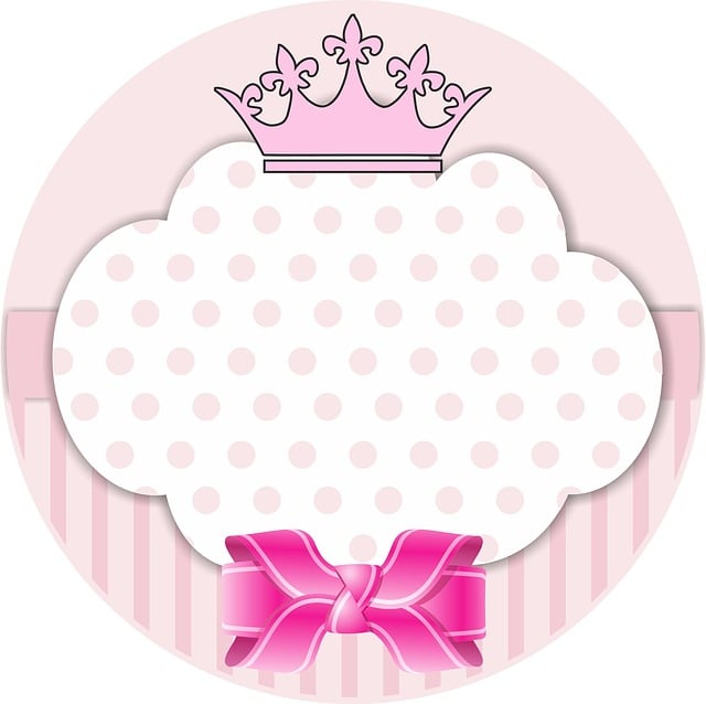 축제 즐기기 전, 꼭 알아야 할 관람 안내