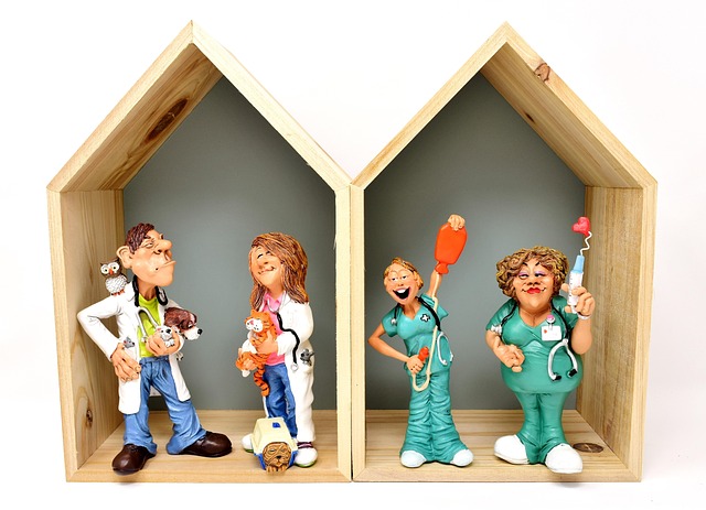 더위 먹은 강아지, 언제 병원에 가야 할까요?