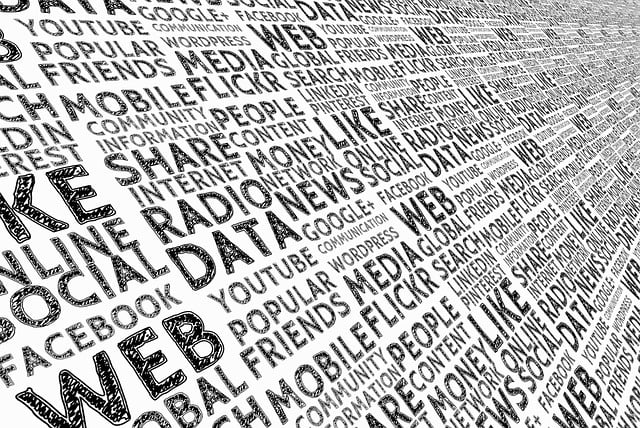 새로운 계좌 정보 입력하고 변경 완료하기