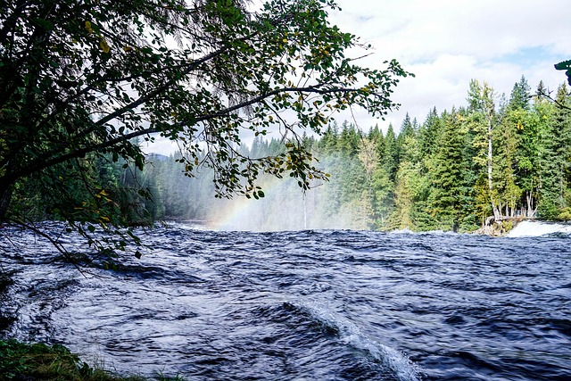 지급 기준액 미달 시 이월 누적 시스템