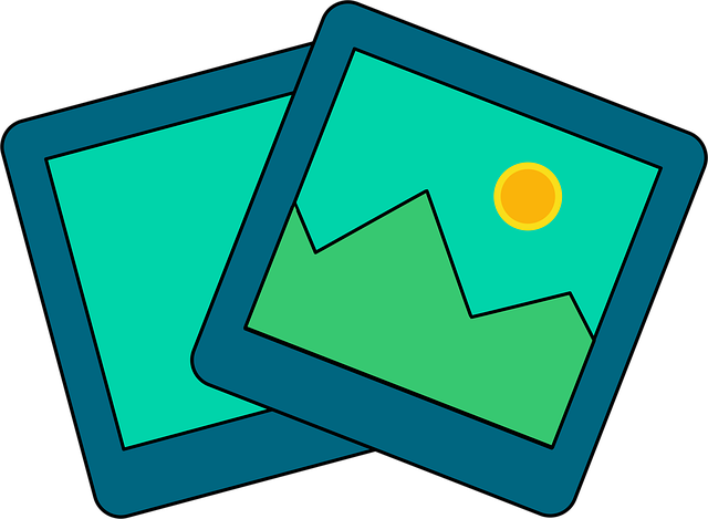 쇼핑몰 플랫폼 고르기부터 사업자 등록까지