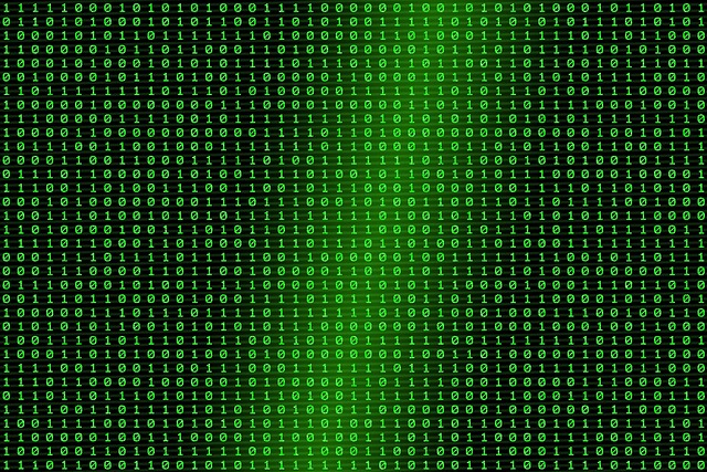 CI·DI 유출, 왜 더 위험한가요?