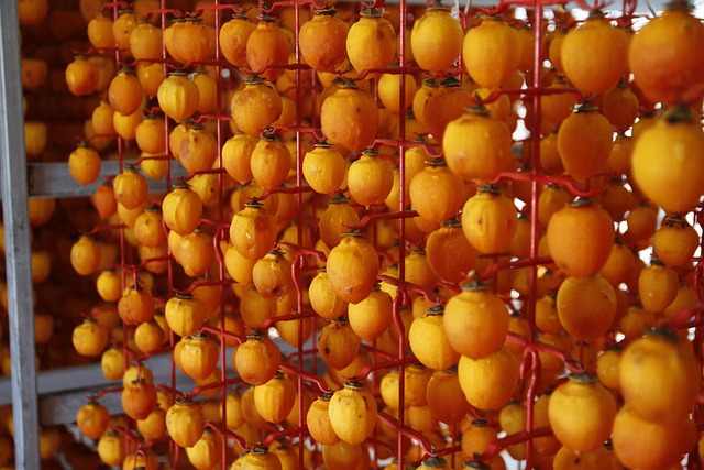 환절기 면역력 지킴이, 감과 사과대추 🍊