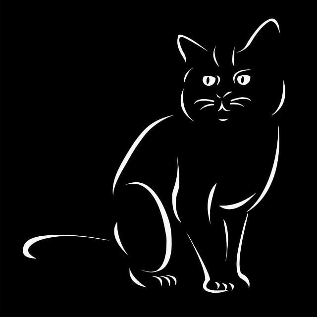 픽스버스 4.0으로 강아지 춤 영상 만들기