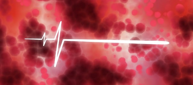 항암 효과와 종양 억제