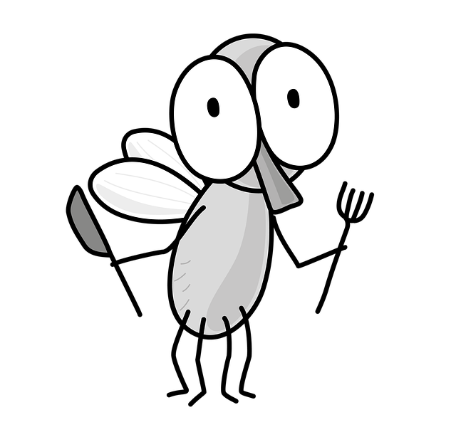 집에서도 즐겨요! 밀키트 & 완제품 먹거리 🏡