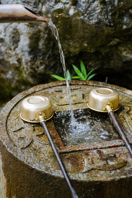 천년 고찰 연수사와 신비한 약수 이야기 💧