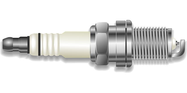 엘앤에프 NCMA95, 왜 이렇게 잘나가나요?