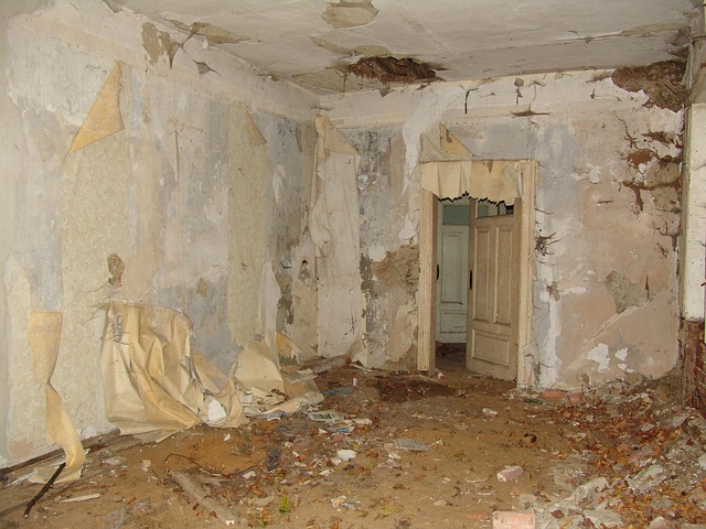 코스트코 회원권 해지 고민, 연회비 인상 때문인가요?