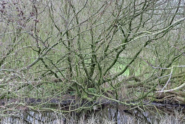 왜 생기는 걸까요? 지루성 피부염 원인