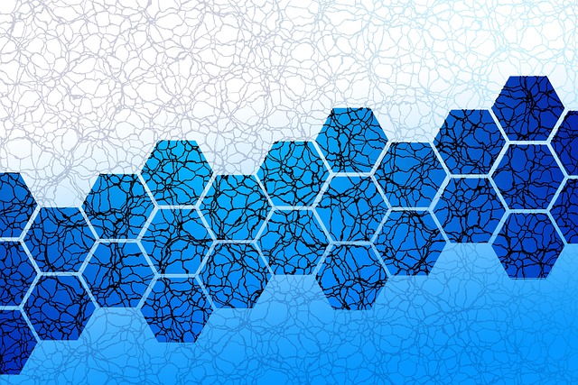 칼데라 코인, 왜 탄생했을까요? 기술적 특징은 무엇인가요?