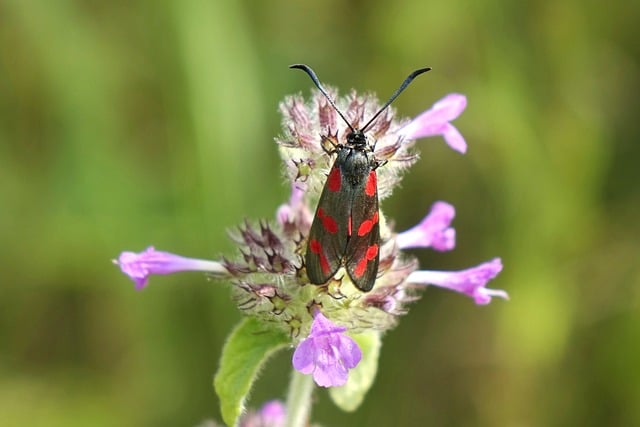 현물 ETF, 너 정말 뭐야?