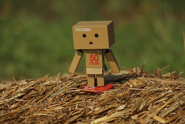 화양연화와 사자성어의 구분