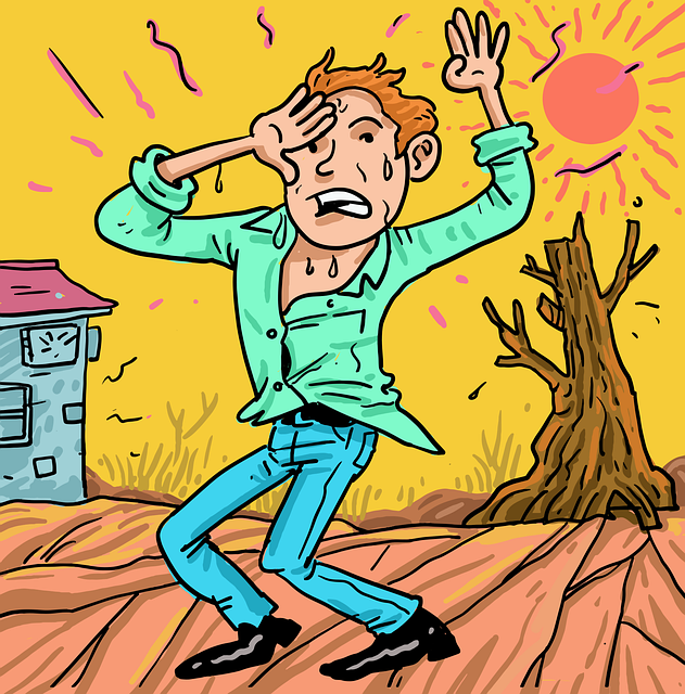 노스엣센스란 무엇인가요?