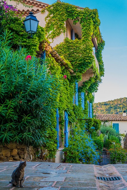 속리산 숲체험마을, 어디에 있나요?