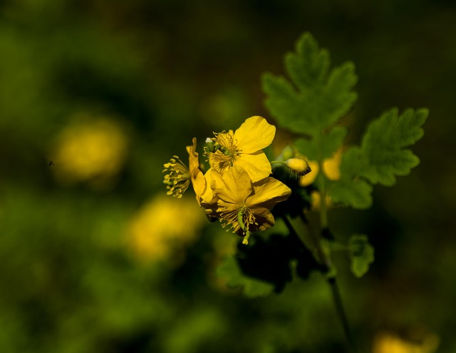 수원파출부, 언제부터 우리 곁에 있었을까요?