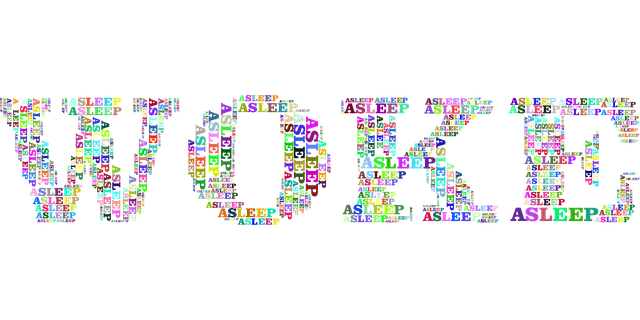 두쫀쿠와 아방수, 대체 어떤 말인가요?