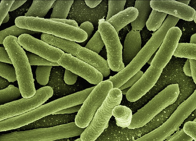 배탈이나 감염이 문제일까요? 🦠