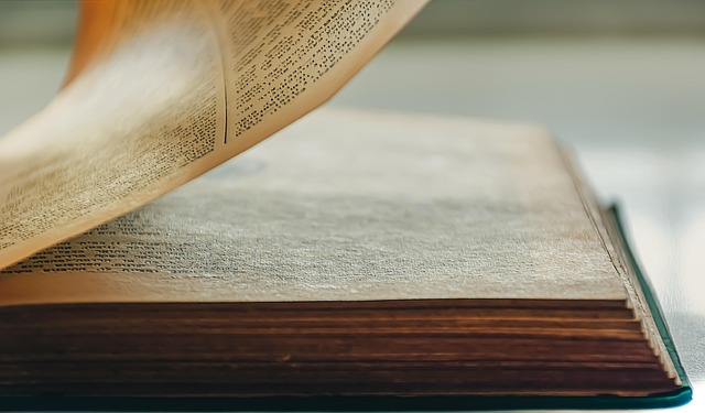 상반기 종합 베스트셀러 TOP 5, 무엇이 달랐나?