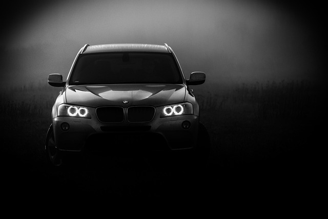 2023 BMW X3 트림과 가격, 자세히 알아봐요!