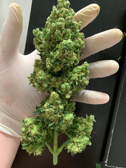 우황청심환, 대체 어떤 약인가요?