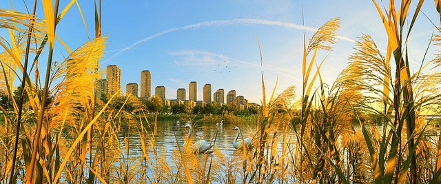 2025년 최신! 맥모닝 단품 메뉴 완벽 정리