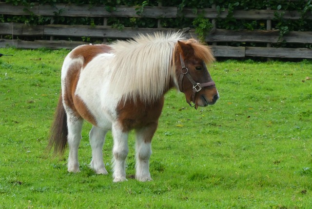 그릭래빗과 베어그릭스, 인기 브랜드를 파헤쳐 봐요!