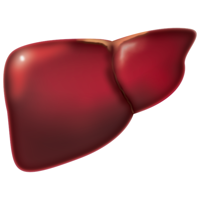 알부민이란 무엇인가요?