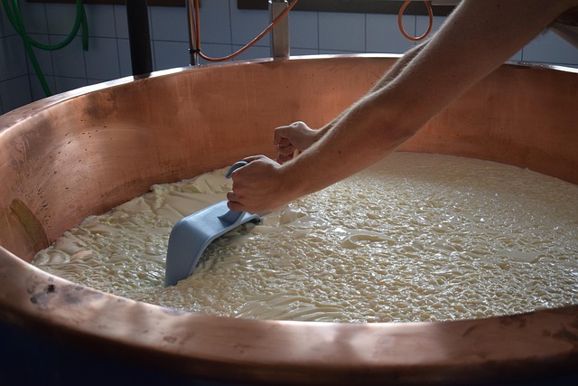 현지 맞춤 전략으로 시장을 이끌고 있습니다