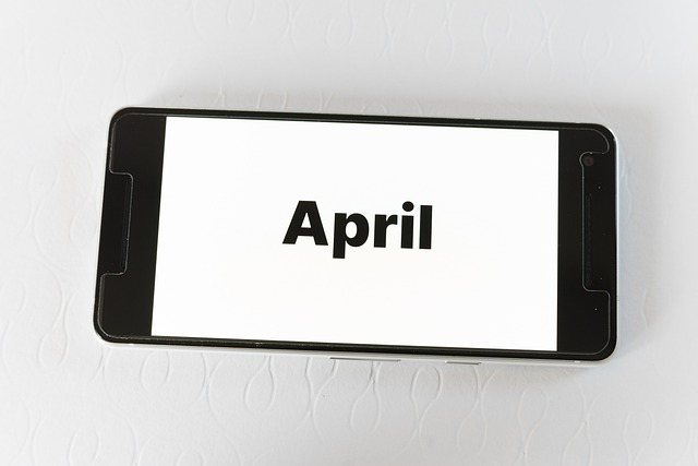 2025년 근로장려금 반기 지급일은 언제인가요?