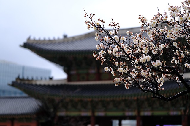 경복궁 야간개장, 어떤 행사일까요?