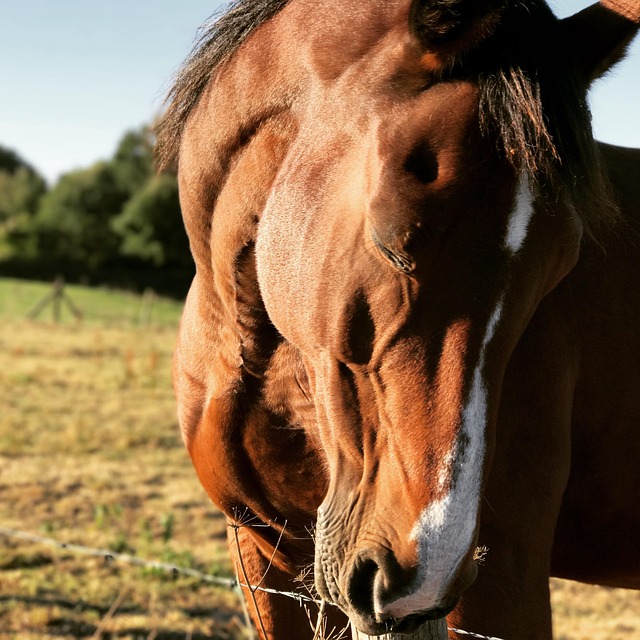영화의 상징성과 메시지