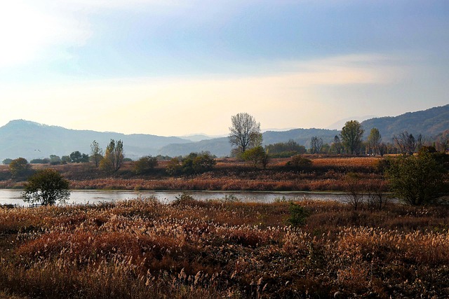 우리나라의 배드뱅크는 어떤 모습일까요? 🇰🇷