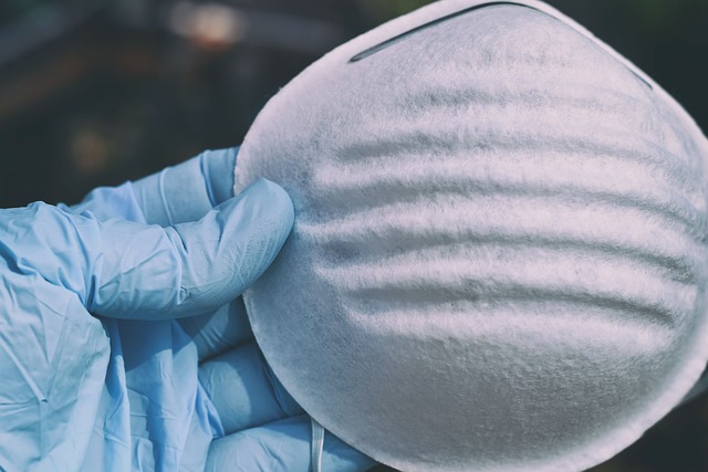 보건증, 왜 필요할까요? (정의와 법적 의무)