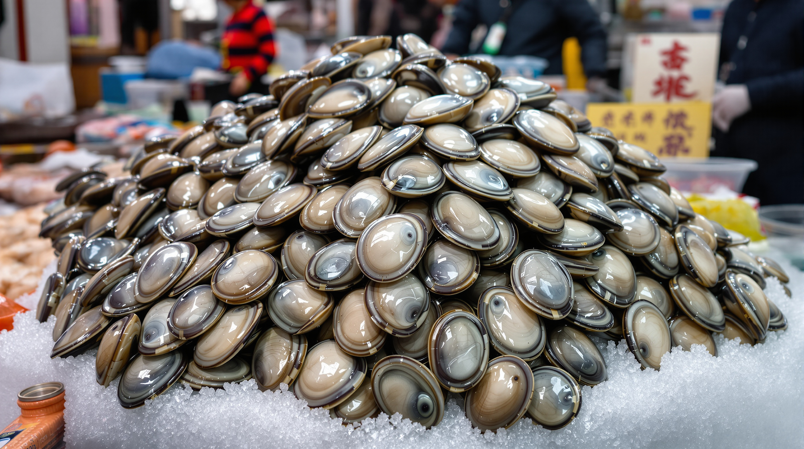 싱싱한 해수 전복, 언제 맛볼 수 있나요?