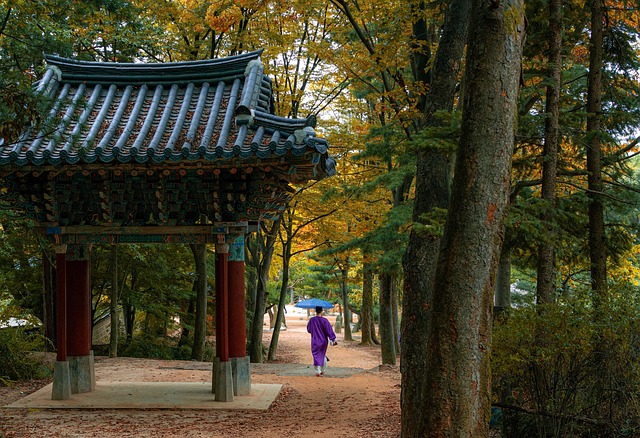 놉은 돈을 어떻게 벌었을까요? 고용 방식과 보수 체계