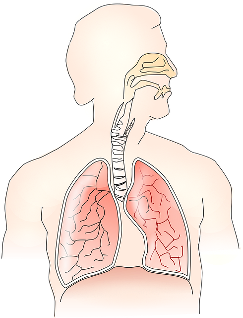 평택 호흡기내과, 왜 중요할까요?
