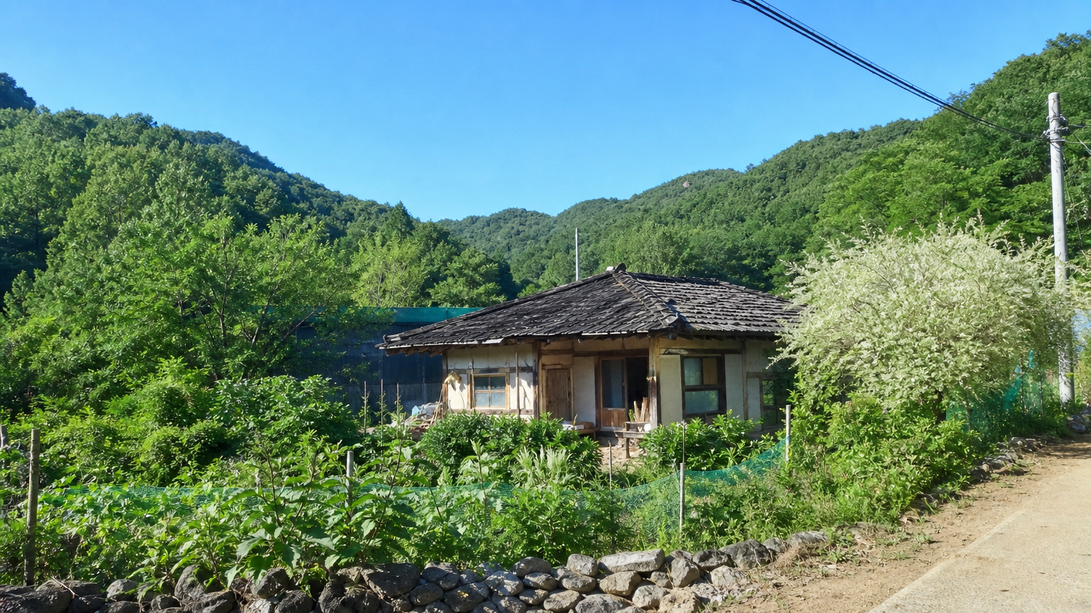강원도 깊은 산골 마을에 있는 현대적인 시골집과 푸른 하늘